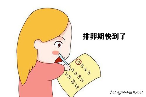 如何怀孕成功率高？想要宝宝来的早，孕妈做这些最好