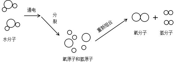 水分子由什么构成（水的组成探究）