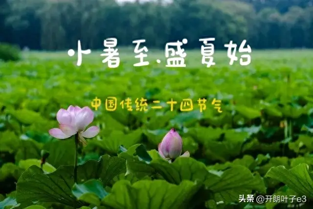 小暑是什么意思（二十四节气之小暑，小暑的由来和习俗）