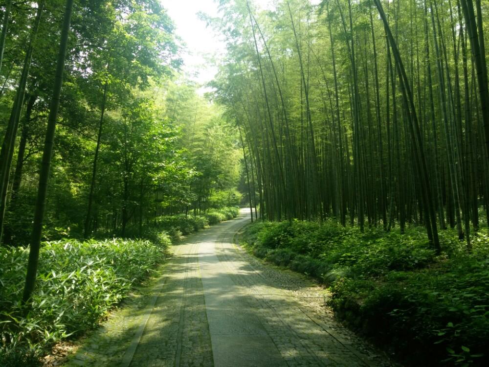 新居对联精选（5副喜气洋洋的乔迁对联，住新房）